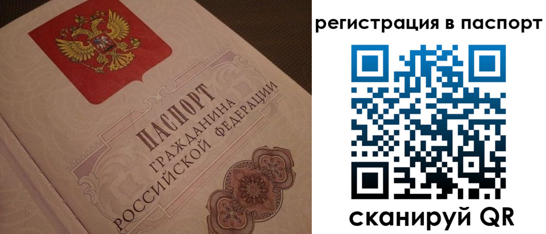 временная регистрация надежно в Курчатове
